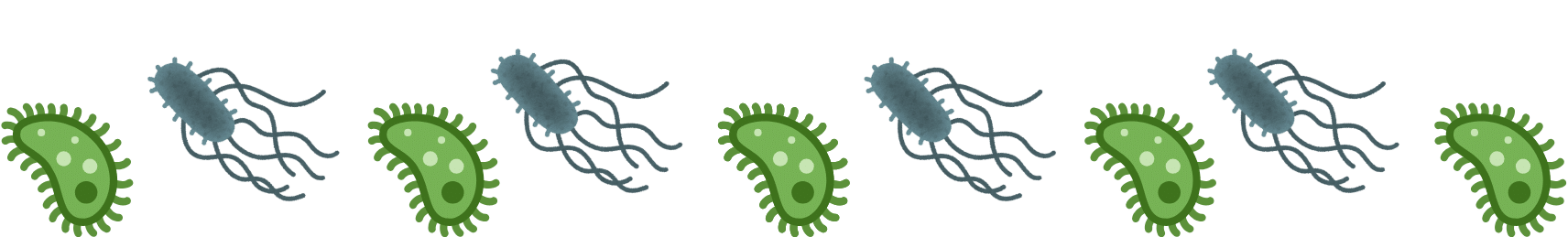 Common pet parasites in Monroeville, PA