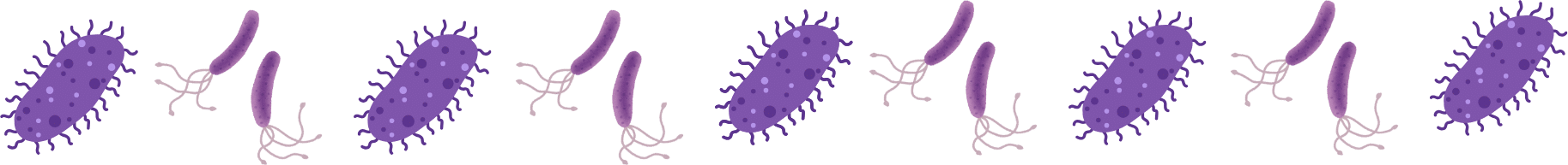 Parasites, representing the need for year-round pet parasite prevention with Northern Pike Veterinary Hospital in Monroeville, PA