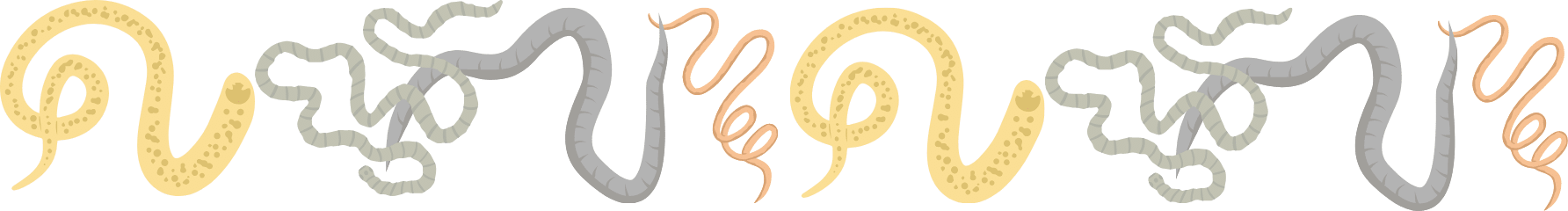 Heartworms and intestinal parasites that can affect pets