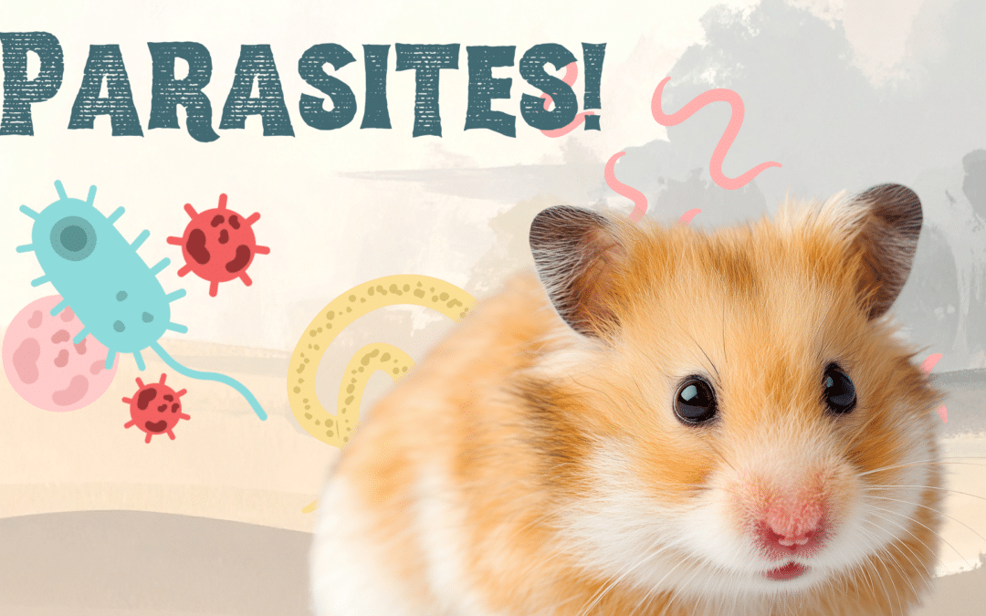What Pet Owners Should Know About Parasites