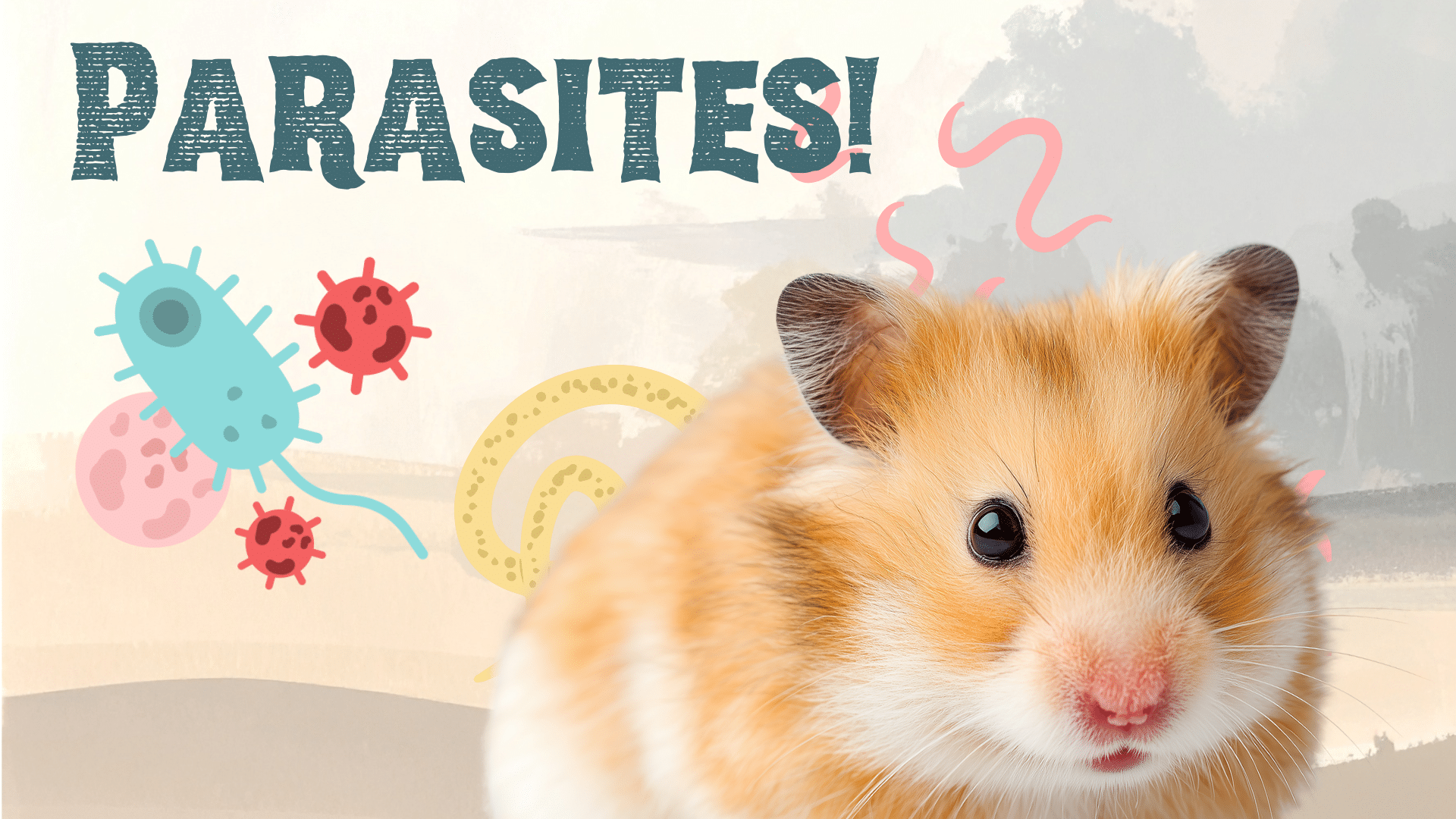 A hamster surrounded by parasites in Monroeville, PA